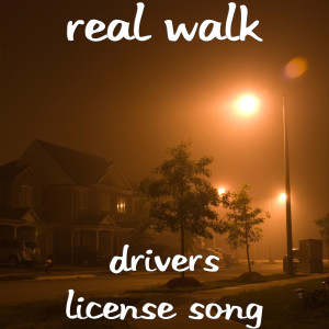 Listen to Drivers License Song song with lyrics from Real Walk