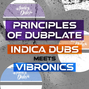 ดาวน์โหลดและฟังเพลง Hunted (Deluxe Version) พร้อมเนื้อเพลงจาก Indica Dubs