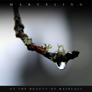 อัลบัม Marveling at the Beauty of Rainfall ศิลปิน Pro Sound Effects Library