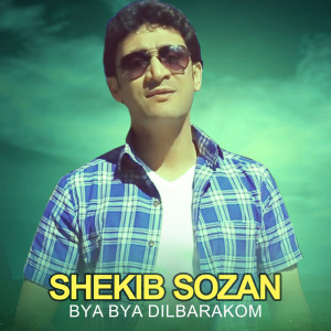 Listen to Bya Bya Dilbarakom song with lyrics from Shekib Sozan
