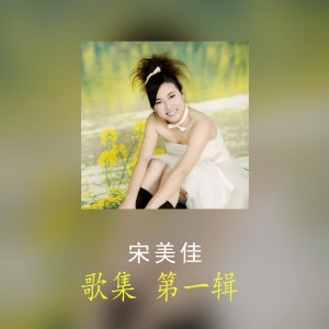 Listen to 走过 song with lyrics from 宋美佳