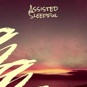 Dengarkan Assisted Sleepful lagu dari Leli Buick dengan lirik