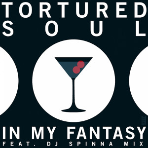 Album In My Fantasy from Tortured Soul