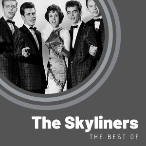 Dengarkan lagu Since I Don't Have You nyanyian The Skyliners dengan lirik