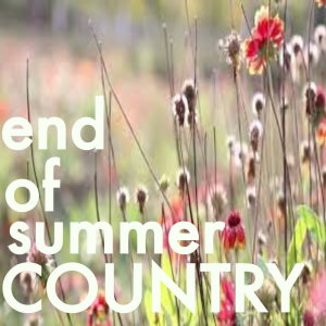 End Of Summer Country dari Various Artists