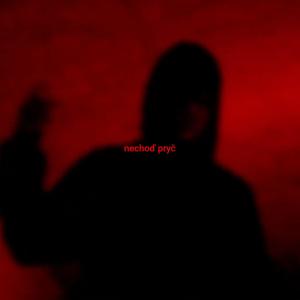 Listen to nechoď pryč (feat. RELEKT) song with lyrics from Fryday