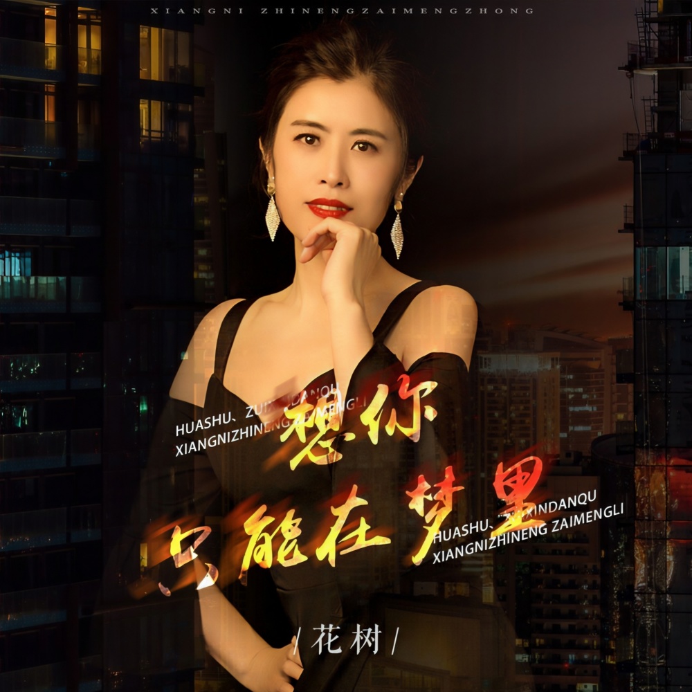 想你只能在梦里（DJ月之歌版） (完整版)