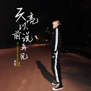 Listen to 天亮以前说再见 (伴奏) song with lyrics from 何野