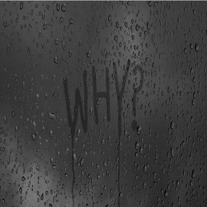 ดาวน์โหลดและฟังเพลง Why พร้อมเนื้อเพลงจาก Vivid