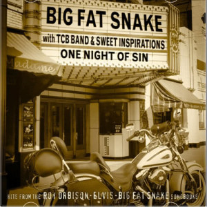 收聽Big Fat Snake的My Way歌詞歌曲