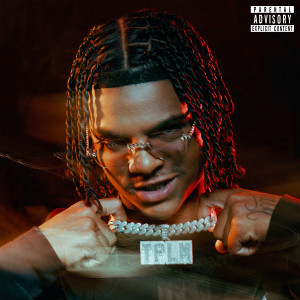 Album TPLM (Deluxe) [Explicit] from Dadi
