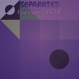 Various Artists的專輯Separated Motorcycle