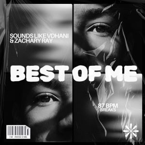 收听Sounds Like VDHANI的Best Of Me歌词歌曲
