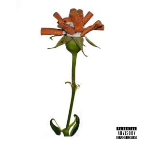Mirza的專輯Plott (Explicit)