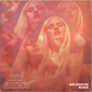 Mi Amor (GOLDHOUSE Remix)