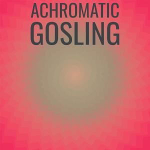 Various的专辑Achromatic Gosling