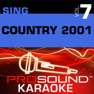 ดาวน์โหลดและฟังเพลง A Good Way To Get On My Bad Side (Karaoke Lead Vocal Demo) [In the Style of Tracy Byrd and Mark Chesnutt] พร้อมเนื้อเพลงจาก ProSound Karaoke Band