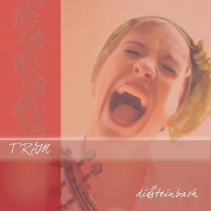 收聽dieSTEINBACH的Ei, ei, ei, de Goaß is weg歌詞歌曲