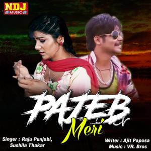 收聽Raju Punjabi的Pajeb Meri歌詞歌曲