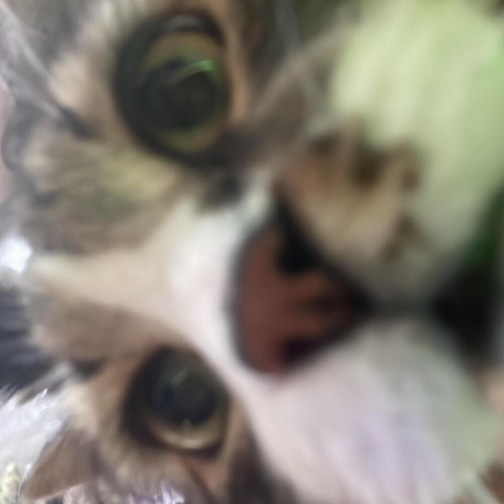 Like Hello (Explicit)