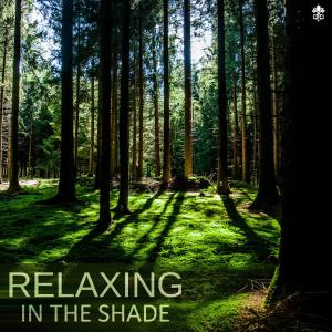 Listen to Breathe song with lyrics from Tango Tempo