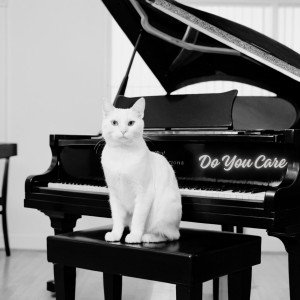 Album Do You Care from Damla