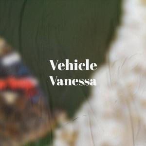 Dengarkan lagu Vehicle Vanessa nyanyian Vicen Talle dengan lirik