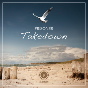 Listen to Prisoner (Radio Edit) song with lyrics from Takedown