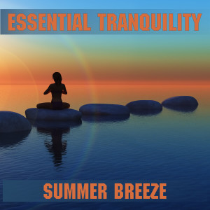 Essential Band的專輯Breeze