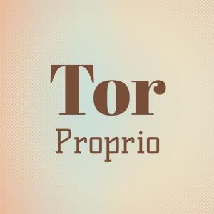 อัลบัม Tor Proprio ศิลปิน Various