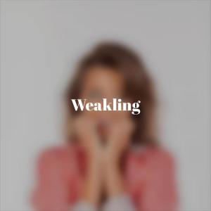 Dengarkan Continuing Vanish lagu dari Dorra Scay dengan lirik