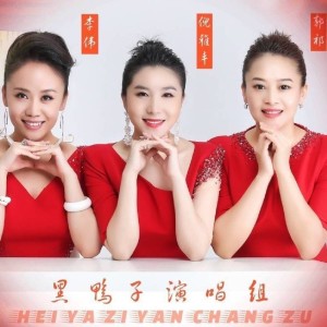 黑鸭子的专辑画你
