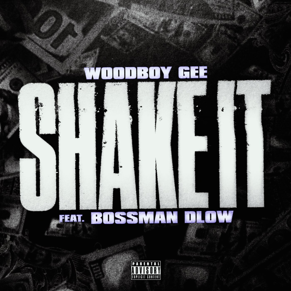 Shake It (feat. BossMan Dlow) (Explicit)