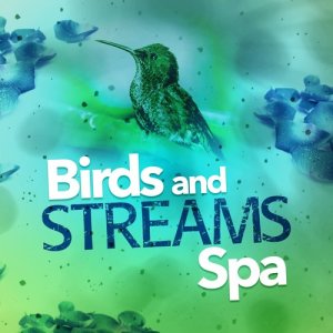 收聽Nature Spa的Streams Flowing歌詞歌曲