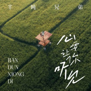 Listen to 心要让你听见 song with lyrics from 半吨兄弟