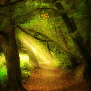 Dengarkan 奇幻之梦 lagu dari 三亩地 dengan lirik