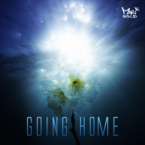 Listen to Going Home song with lyrics from Marigold