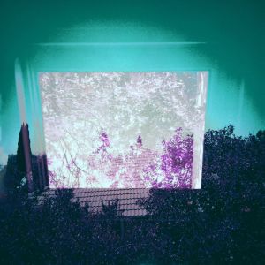 Album temple from Dorsal