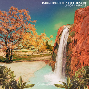 Album Up for a Miracle from Indigo Pool
