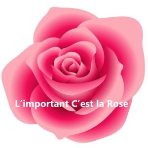 Helena Hettema的專輯L’important C’est la Rose