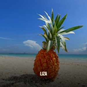 Listen to Autumn Leaves song with lyrics from Stan Getz