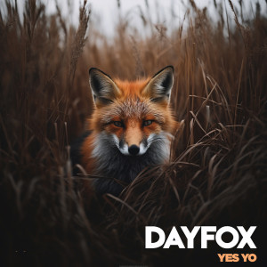 Album Yes Yo from DayFox