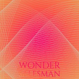 Various的专辑Wonder Salesman