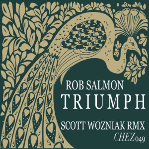 ดาวน์โหลดและฟังเพลง Triumph (Original MIX) พร้อมเนื้อเพลงจาก ROB SALMON