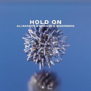 收聽Ali Bakgor的Hold On歌詞歌曲