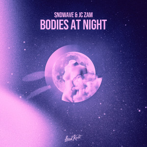 Sndwave的專輯Bodies At Night