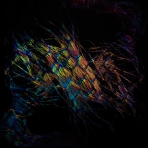 收聽Vaura的No Guardians歌詞歌曲