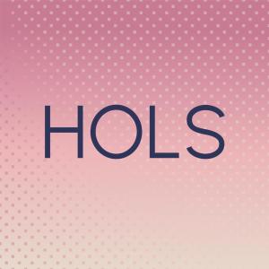 Various的专辑Hols