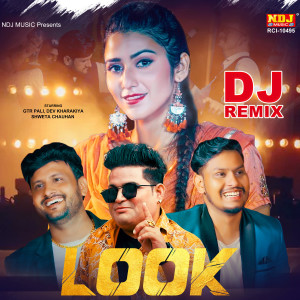 Album Look (DJ Remix) from Raju Punjabi