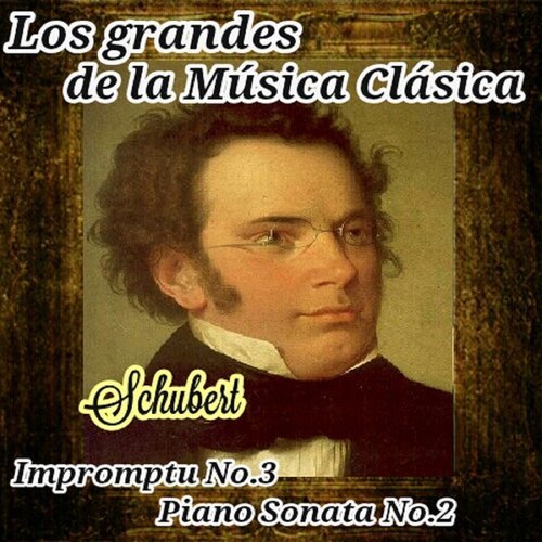 Piano Sonata No. 2 in B Major, D. 960: II. Andante sostenuto